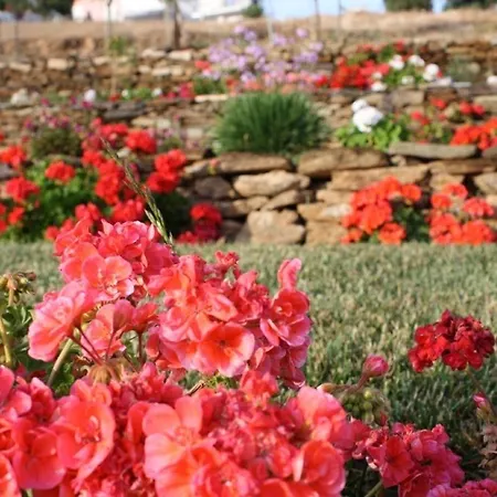 Otel Argo & Agioi Apostoloi (Evia)